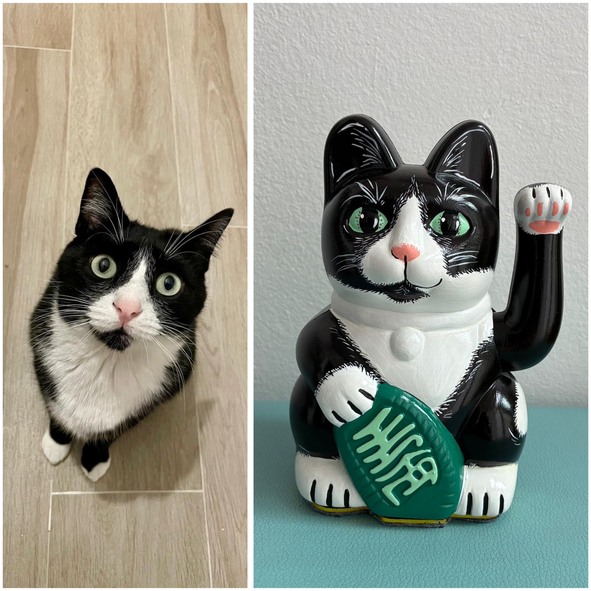 Black and white tuxedo cat next to the hand-painted Maneki Neko figurine painted from its photo