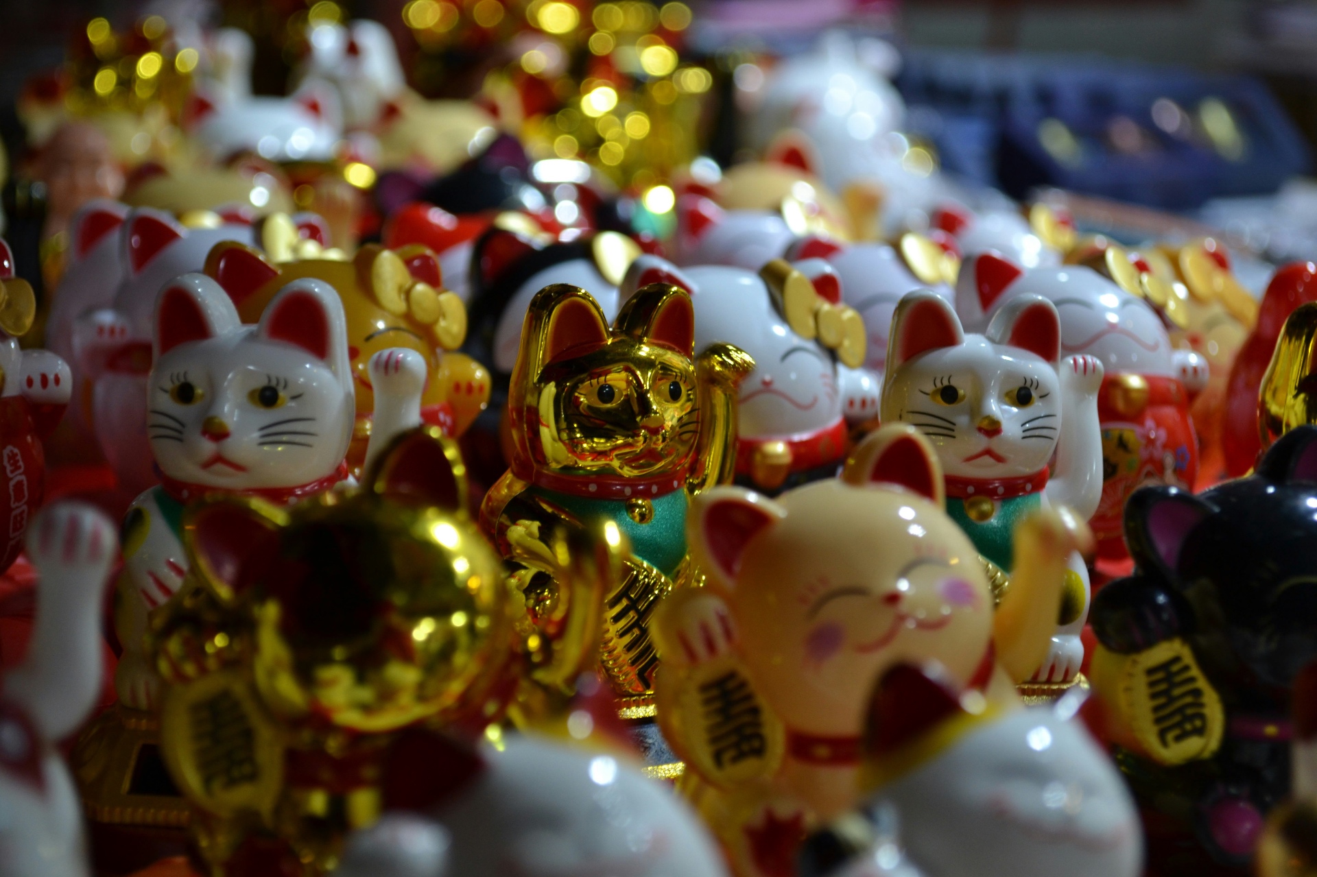 Collection of Maneki Neko Lucky Cat figurines — Japanese symbols of good fortune